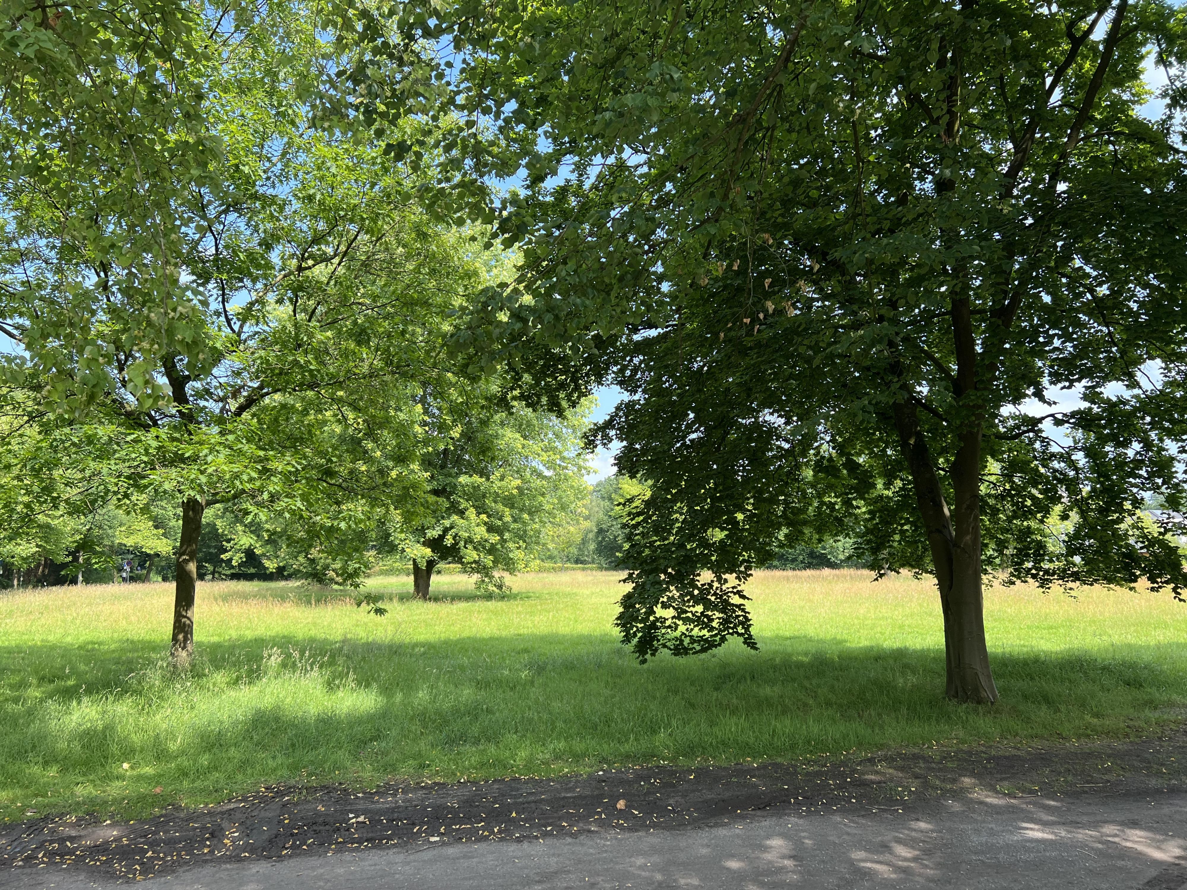Ahrenshof W 10
